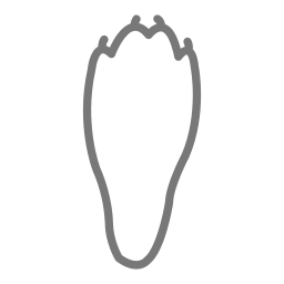 konijn voetafdruk icoon