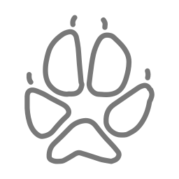 Fox footprint icon