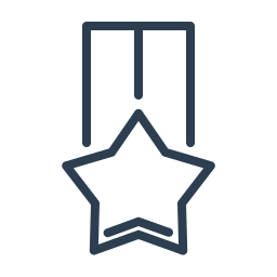 estrella icono