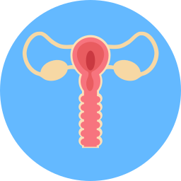 Fallopian tubes icon