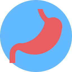 estómago humano icono