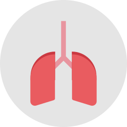 polmoni umani icona