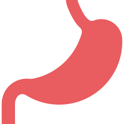 Human stomach icon