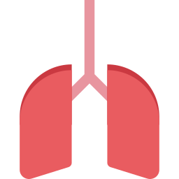 polmoni umani icona