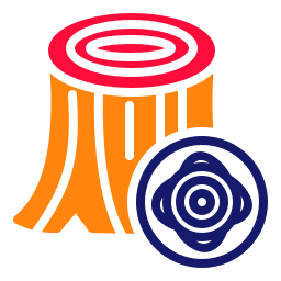 Tree ring icon