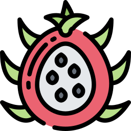 Fruta del dragón icono