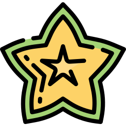 Star fruit icon