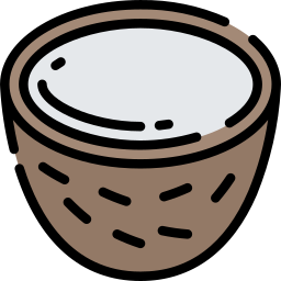 kokosnuss icon