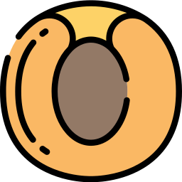 aprikose icon