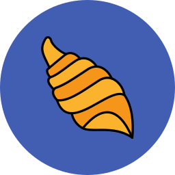 소라 껍질 icon