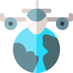 Fly icon