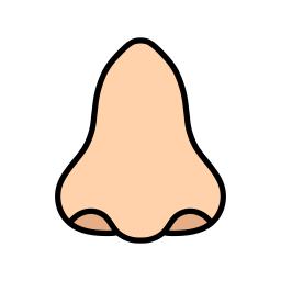 Нос иконка