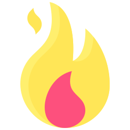 vlam icoon