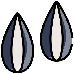 semi di girasole icona
