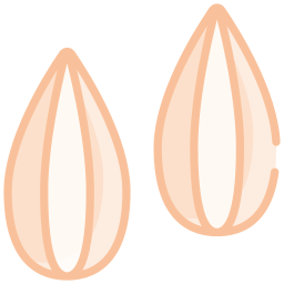 semilla de girasol icono