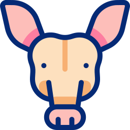 aardvark Icône