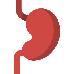 Stomach icon