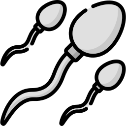 sperma icon