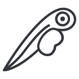 Fish icon