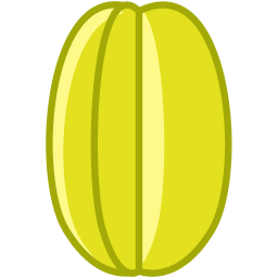 Fruit icon