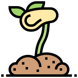 Pimpollo icono