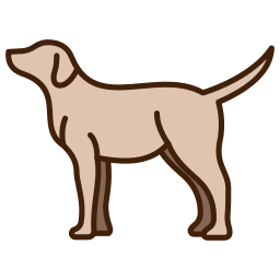 cane icona