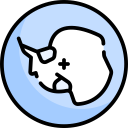 地図 icon