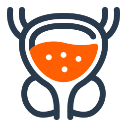 próstata icono