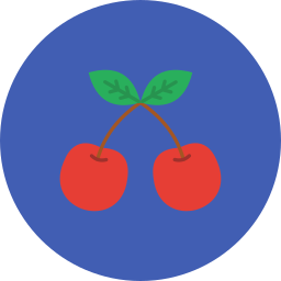 Cherries icon