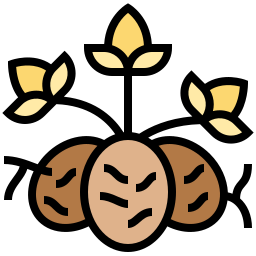 Semillas icono