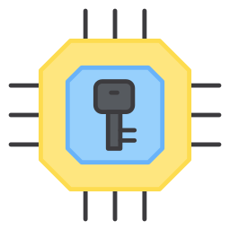 Chip encryption icon