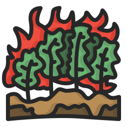 森林火災 icon