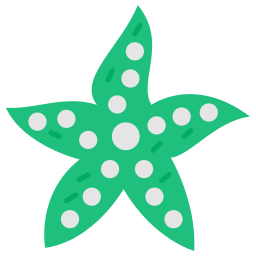 Star fish icon