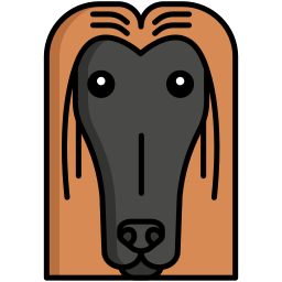 Afghan hound icon