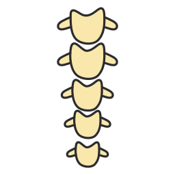 la columna vertebral icono
