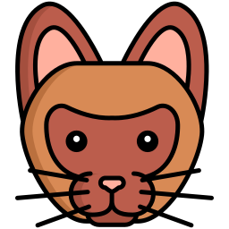 Burmese cat icon