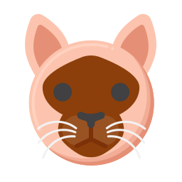 gato birmano icono
