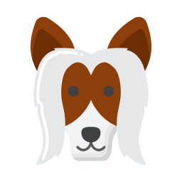 chinesischer schopfhund icon