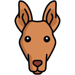 Pharaoh hound icon