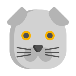 gato plegable escocés icono