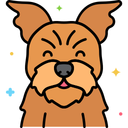 Yorkshire terrier icon