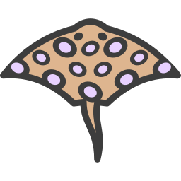 ray icona