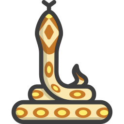 python icoon
