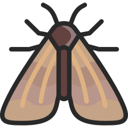 옥수수 천공기 icon