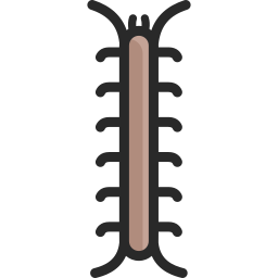 Centipedes icon