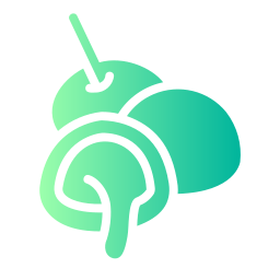 mochi icono