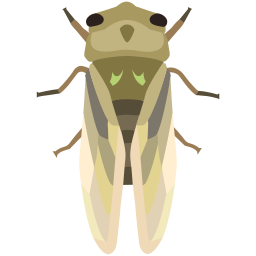 insekt icon