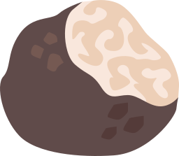 zwarte truffel icoon