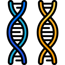 cromosoma icona