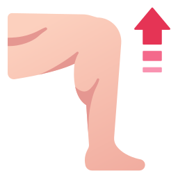 Leg icon